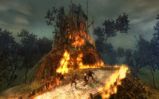 The Witcher: Enhanced Edition Director's Cut